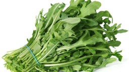 Recepta de cuina de Ulls de llop (pasta) amb pesto de ruca
